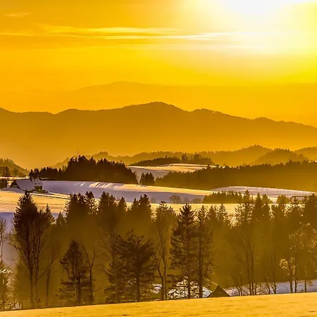 Auch Am Berg, Todtnauberg, Feldberg トートナウベルク
