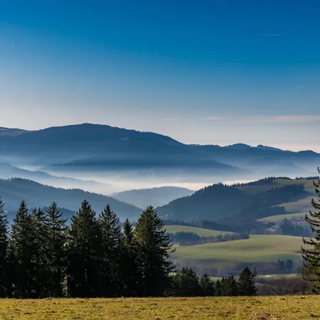 Auch Am Berg, Todtnauberg, Feldberg アパート *