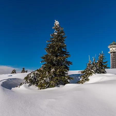 アパート Auch Am Berg, Todtnauberg, Feldberg