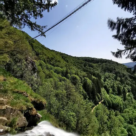 Auch Am Berg, Todtnauberg, Feldberg アパート *